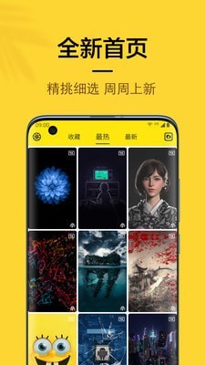 橙子4D动态壁纸 橙子4D动态壁纸
