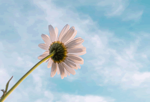 去西安旅游需要多少钱，西安旅游4天3晚费用攻略